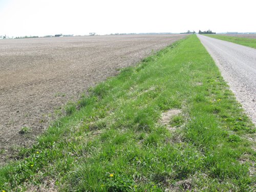 Property photo 30 - 172 Acres Offered in 3 Tracts - Prime Farmland
